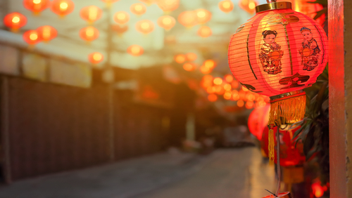 a Chinese lantern displayed on Chinese New Year